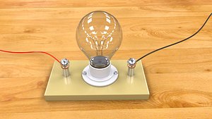 Bulb