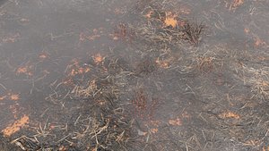 Burning Ground