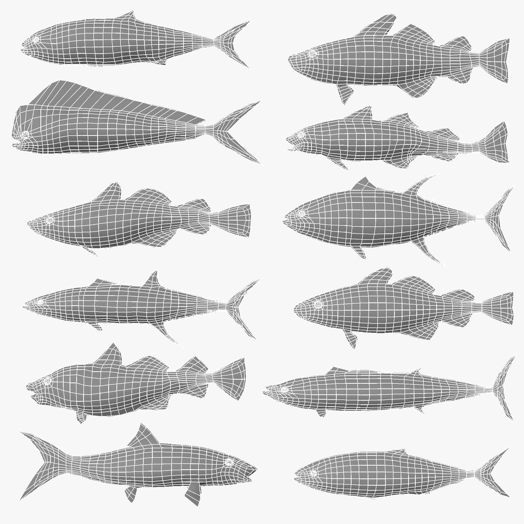 fish 3D model https://p.turbosquid.com/ts-thumb/HX/JV2QC0/72I4Kjrd/2_2/png/1549985427/1920x1080/fit_q87/dc2eeb468972757edcd01860d64184f9c717a976/2_2.jpg