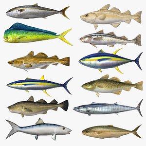 Popular Fish