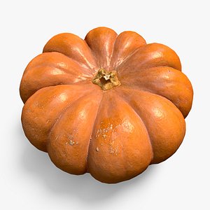 3D Pumpkin model