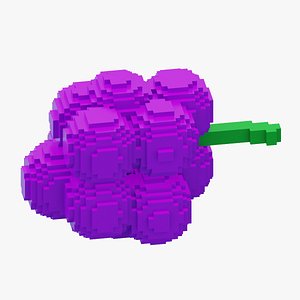 Voxel Grapes 3D model