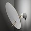 iConeluce Lua Wall Sconce