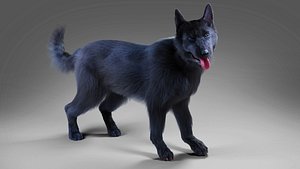 Fur Black Dog Rigged model