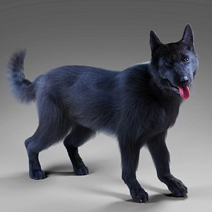 Fur Black Dog Rigged