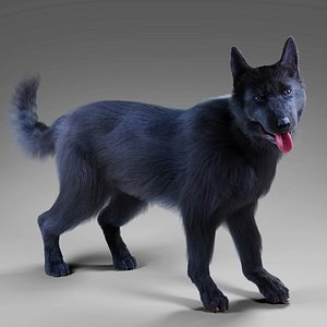 Fur Black Dog Rigged