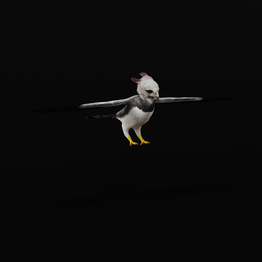 3D Harpy Eagle Bird https://p.turbosquid.com/ts-thumb/HX/qsJvo8/1h/harpyeaglearmature_0004/jpg/1764708277/1920x1080/fit_q87/9b3aff17120c4d8a3dbbe2880f66d02eb2f9b071/harpyeaglearmature_0004.jpg