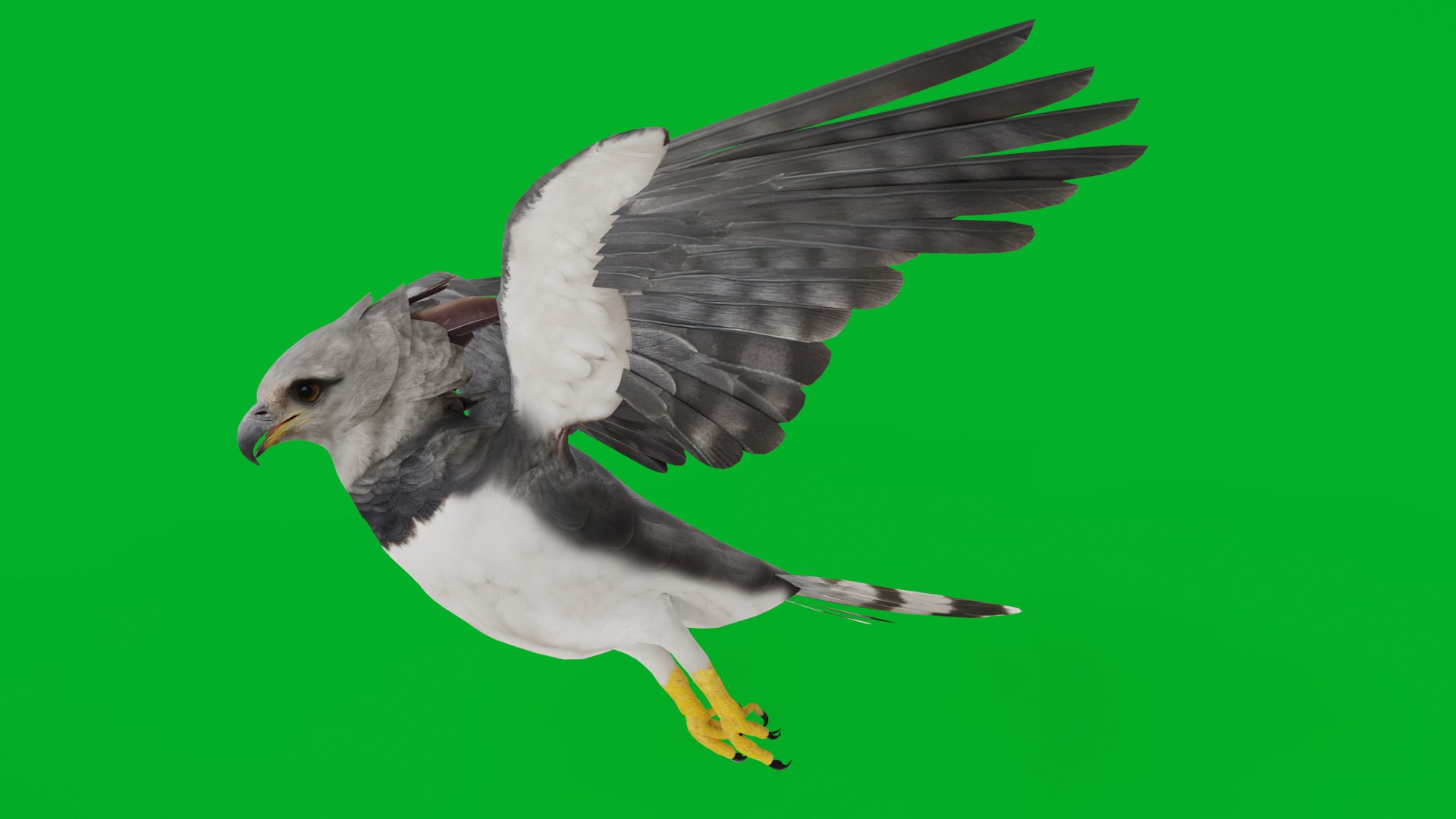 3D Harpy Eagle Bird https://p.turbosquid.com/ts-thumb/HX/qsJvo8/LJ/harpy_eagle_preview4/png/1764708216/1920x1080/fit_q87/3c430547fac6ee4a251ad225593298b38ecf2ecb/harpy_eagle_preview4.jpg