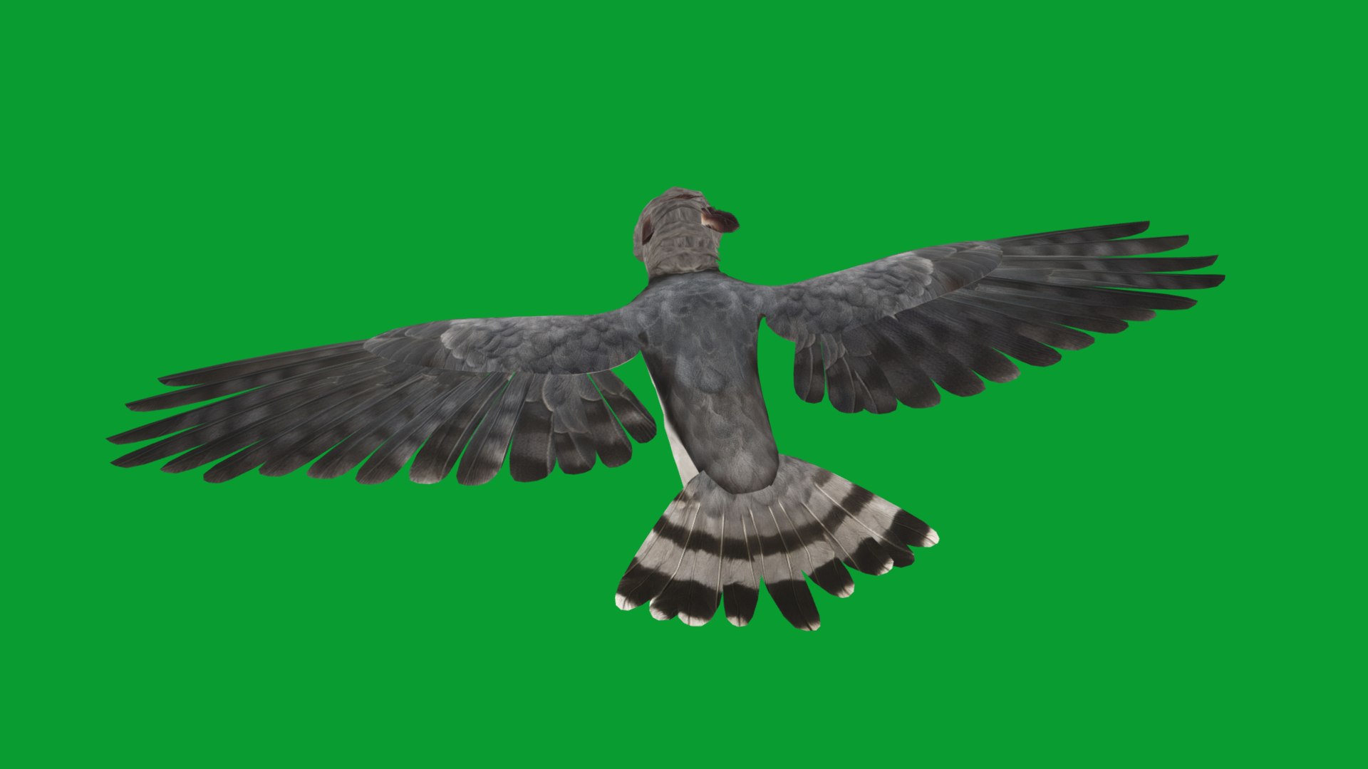 3D Harpy Eagle Bird https://p.turbosquid.com/ts-thumb/HX/qsJvo8/Qn/harpy_eagle_birds7/png/1764708253/1920x1080/fit_q87/550e889d3c0a7ee14e56925cf2ebbe8d7eaa2a01/harpy_eagle_birds7.jpg