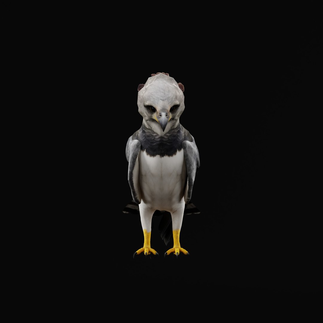 3D Harpy Eagle Bird https://p.turbosquid.com/ts-thumb/HX/qsJvo8/Re/harpyeaglearmature_0007/jpg/1764708279/1920x1080/fit_q87/081e047e03a762429662a30220dd1e9e087c2f15/harpyeaglearmature_0007.jpg