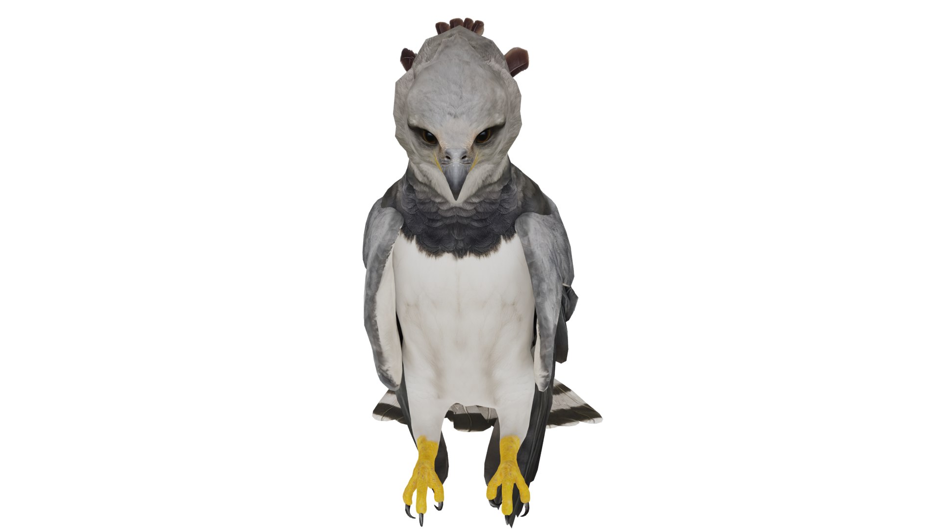 3D Harpy Eagle Bird https://p.turbosquid.com/ts-thumb/HX/qsJvo8/T5/harpy_eagle_preview6/png/1764708217/1920x1080/fit_q87/dd4b74b3ac4099b69ea49d611f901bd583f34741/harpy_eagle_preview6.jpg