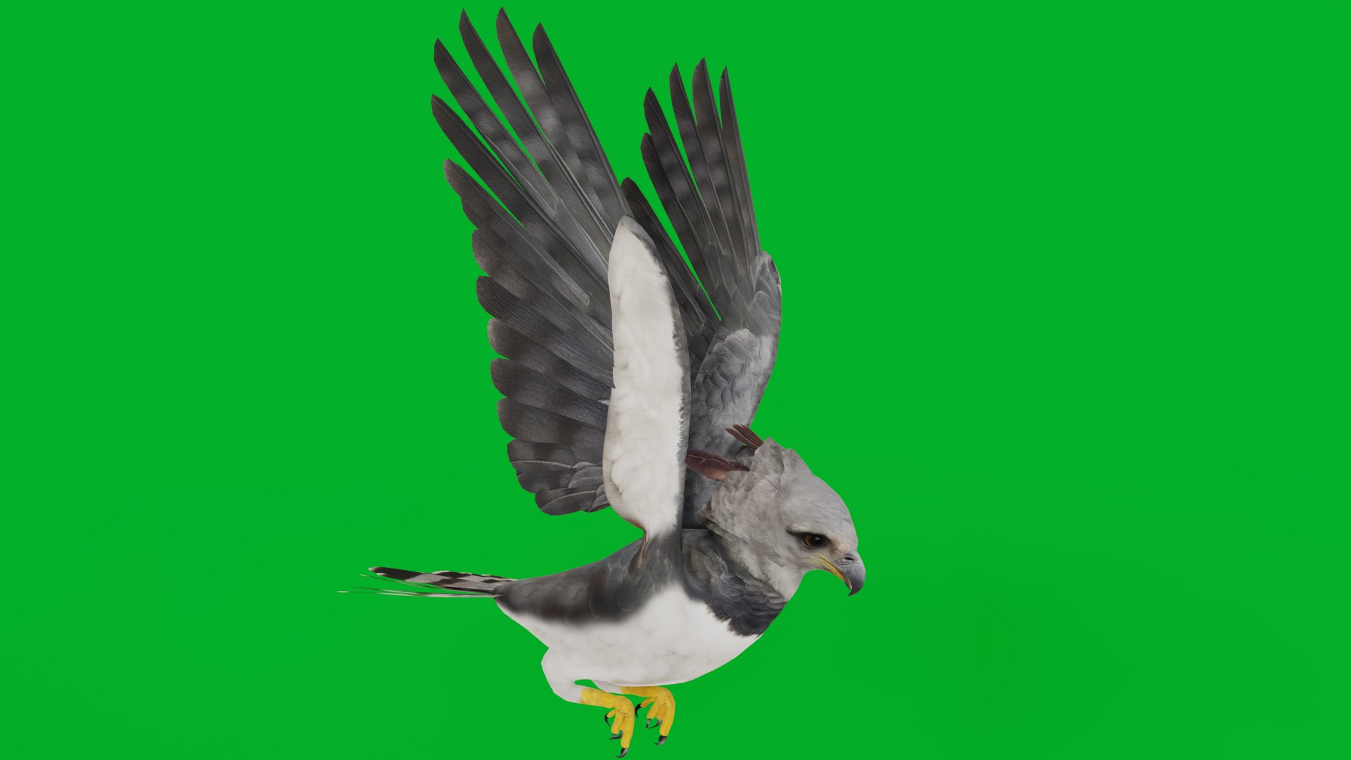 3D Harpy Eagle Bird https://p.turbosquid.com/ts-thumb/HX/qsJvo8/Xu/harpy_eagle_preview5/png/1764708220/1920x1080/fit_q87/67036f365aef2297c7db48b670f2001e43bd6ec4/harpy_eagle_preview5.jpg