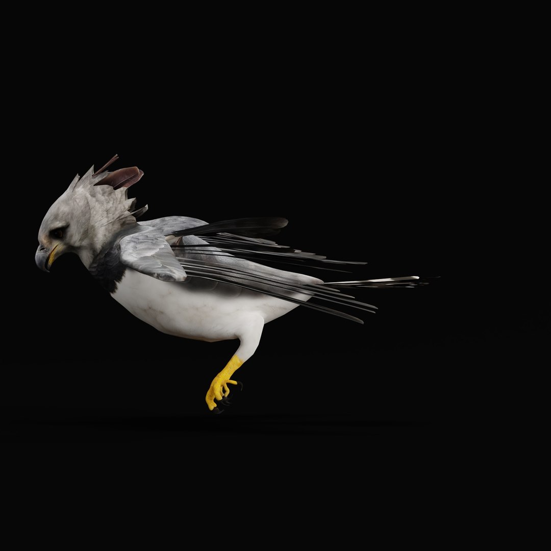3D Harpy Eagle Bird https://p.turbosquid.com/ts-thumb/HX/qsJvo8/fR/harpyeaglearmature_0000/jpg/1764708274/1920x1080/fit_q87/7073205b8d569cca4cb4bda0730211336d03f1db/harpyeaglearmature_0000.jpg