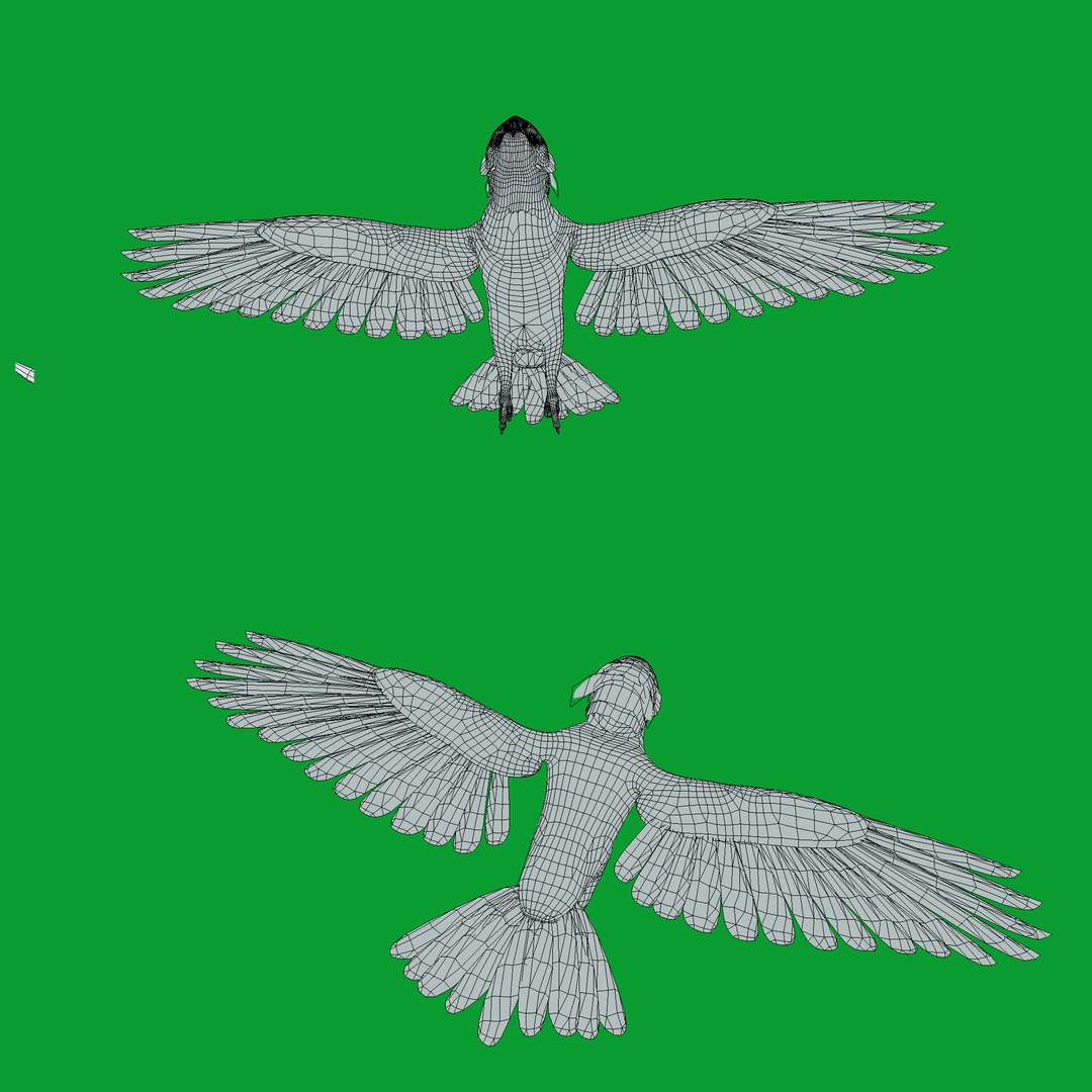 3D Harpy Eagle Bird https://p.turbosquid.com/ts-thumb/HX/qsJvo8/mS/wire/png/1764708282/1920x1080/fit_q87/882169ffe1224161525d50fb341394e33f117cfc/wire.jpg