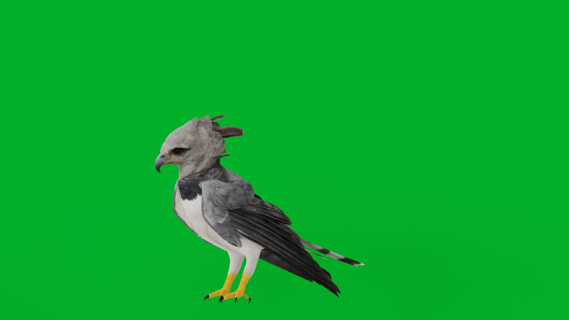 3D Harpy Eagle Bird https://p.turbosquid.com/ts-thumb/HX/qsJvo8/v2/harpy_eagle_preview3/png/1764708216/1920x1080/fit_q87/90ffd6a2acc8c2a961ce49750fc933bec8df6b89/harpy_eagle_preview3.jpg