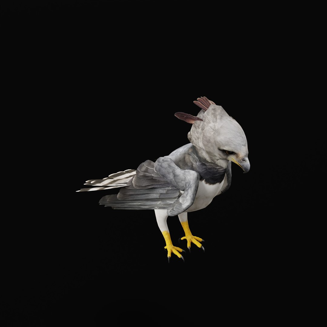 3D Harpy Eagle Bird https://p.turbosquid.com/ts-thumb/HX/qsJvo8/vl/harpyeaglearmature_0009/jpg/1764708280/1920x1080/fit_q87/7162a7254a98b487cfbbf045e38460c132a542a9/harpyeaglearmature_0009.jpg