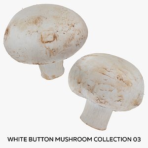 White Button Mushroom Collection 03 - 2 models RAW Scans 3D model