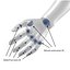 Solidworks CAD Human Poseable Bundle