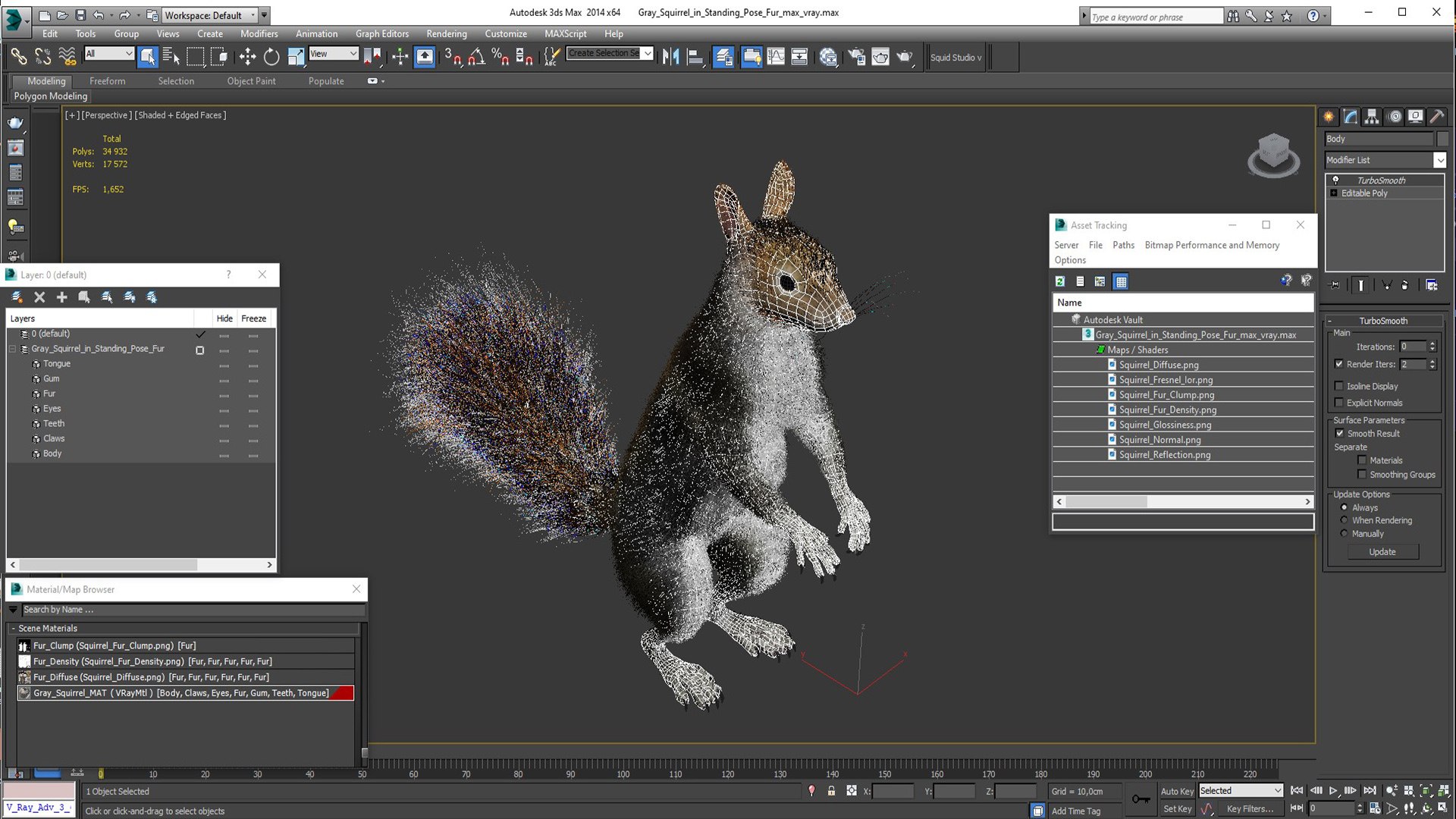 3D Model Gray Squirrel In Standing Pose Fur - TurboSquid 2262519