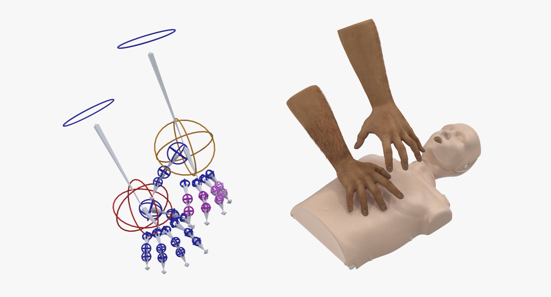 3D Aid Training Cpr Dummy Model TurboSquid 1333083