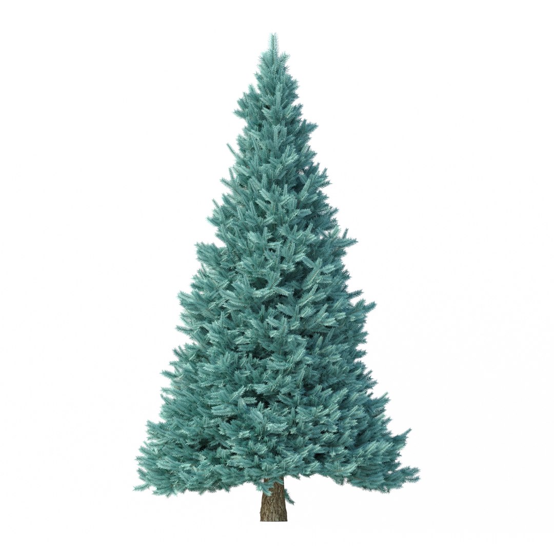 Abies No 2 model https://p.turbosquid.com/ts-thumb/HY/6P40kX/45/rend3/jpg/1625930965/1920x1080/fit_q87/96ed262929d7895b134c7d619c210602874614bf/rend3.jpg