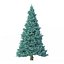 Abies Nr. 2