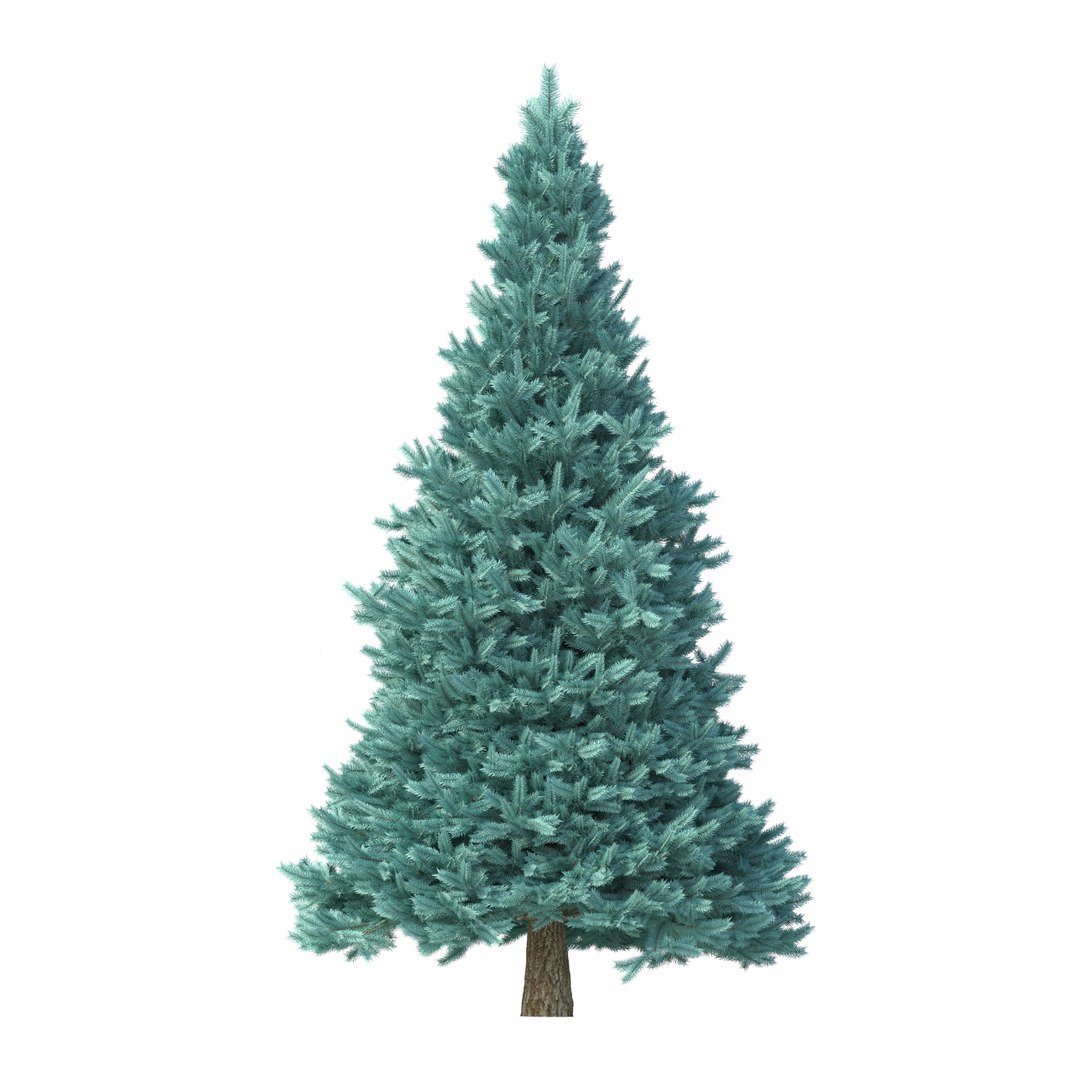 Abies No 2 model https://p.turbosquid.com/ts-thumb/HY/6P40kX/9I/rend5/jpg/1625930962/1920x1080/fit_q87/9e6951232885d745873e327e809b590cee4492fe/rend5.jpg