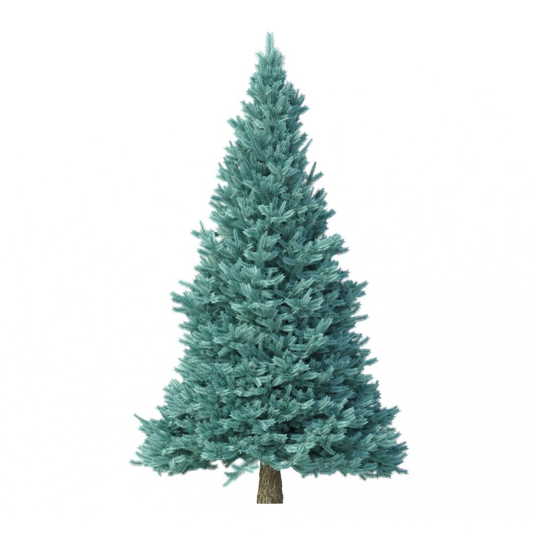 Abies No 2 model https://p.turbosquid.com/ts-thumb/HY/6P40kX/JI/rend4/jpg/1625930958/1920x1080/fit_q87/555996084fde3bd5f804b71cea59bbf2a16e6671/rend4.jpg