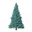 Abies Nr. 2