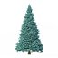 Abies Nr. 2