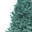 Abies Nr. 2