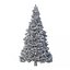 Abies Nr. 2