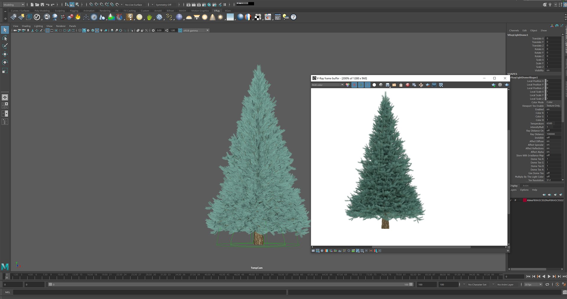 Abies No 2 model https://p.turbosquid.com/ts-thumb/HY/6P40kX/dO/rend_13/jpg/1625930948/1920x1080/fit_q87/905d91fe75116c1c91f418db5ea28fb6fdd9ea34/rend_13.jpg