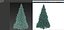 Abies Nr. 2
