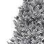 Abies Nr. 2