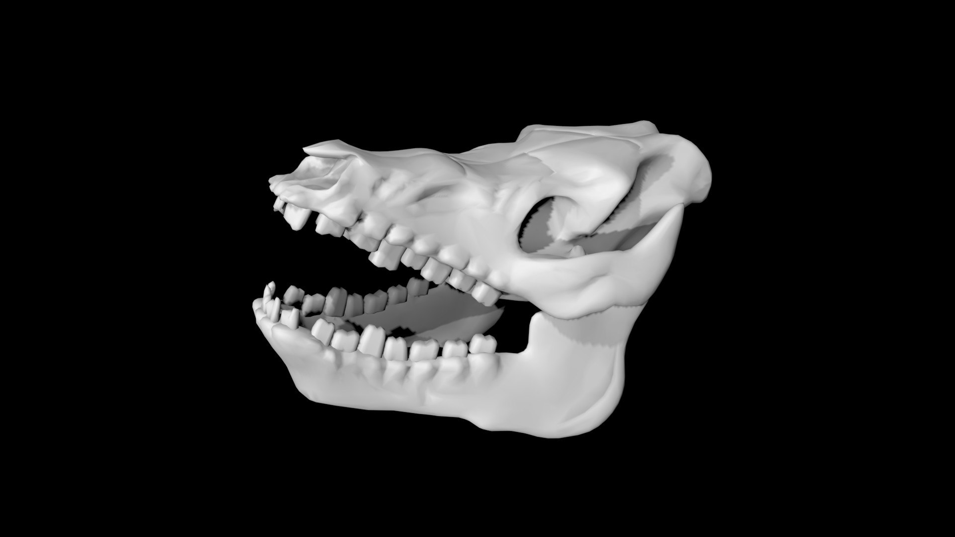 Pig Skull 3D - TurboSquid 1853910