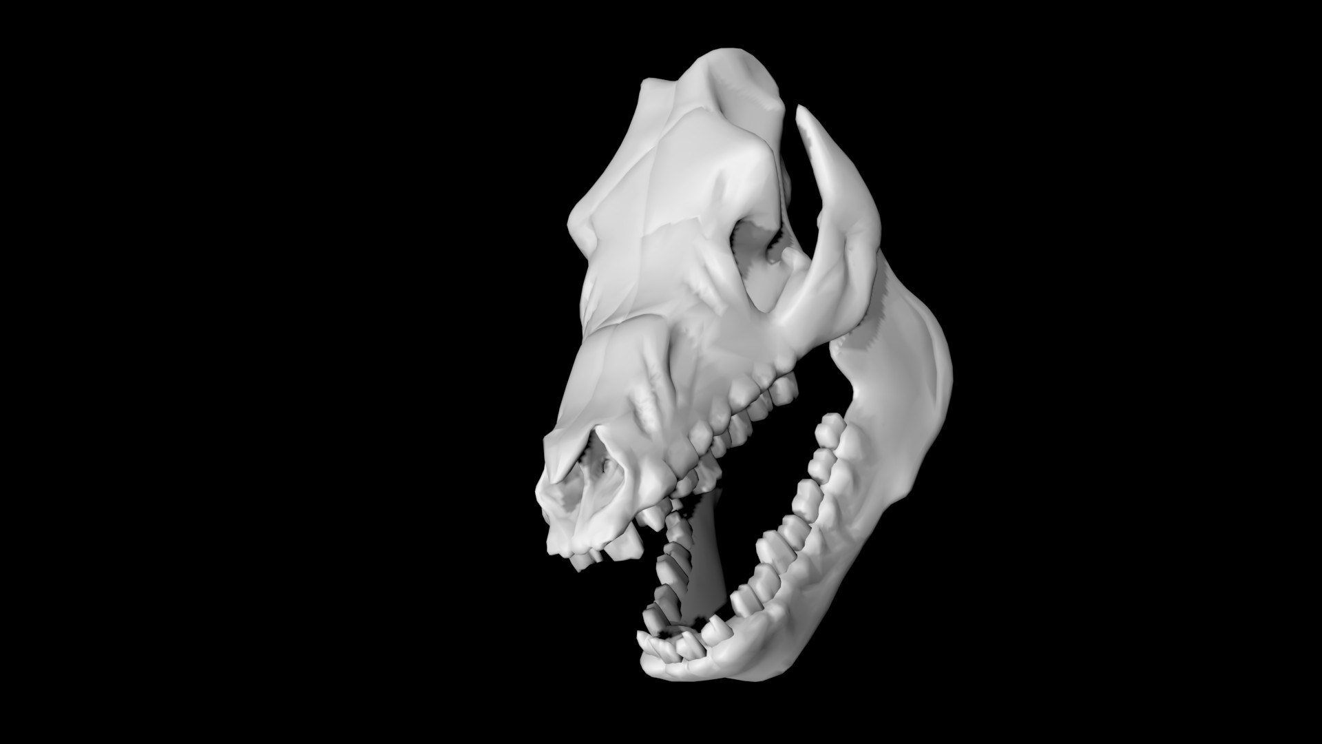 Pig Skull 3D - TurboSquid 1853910