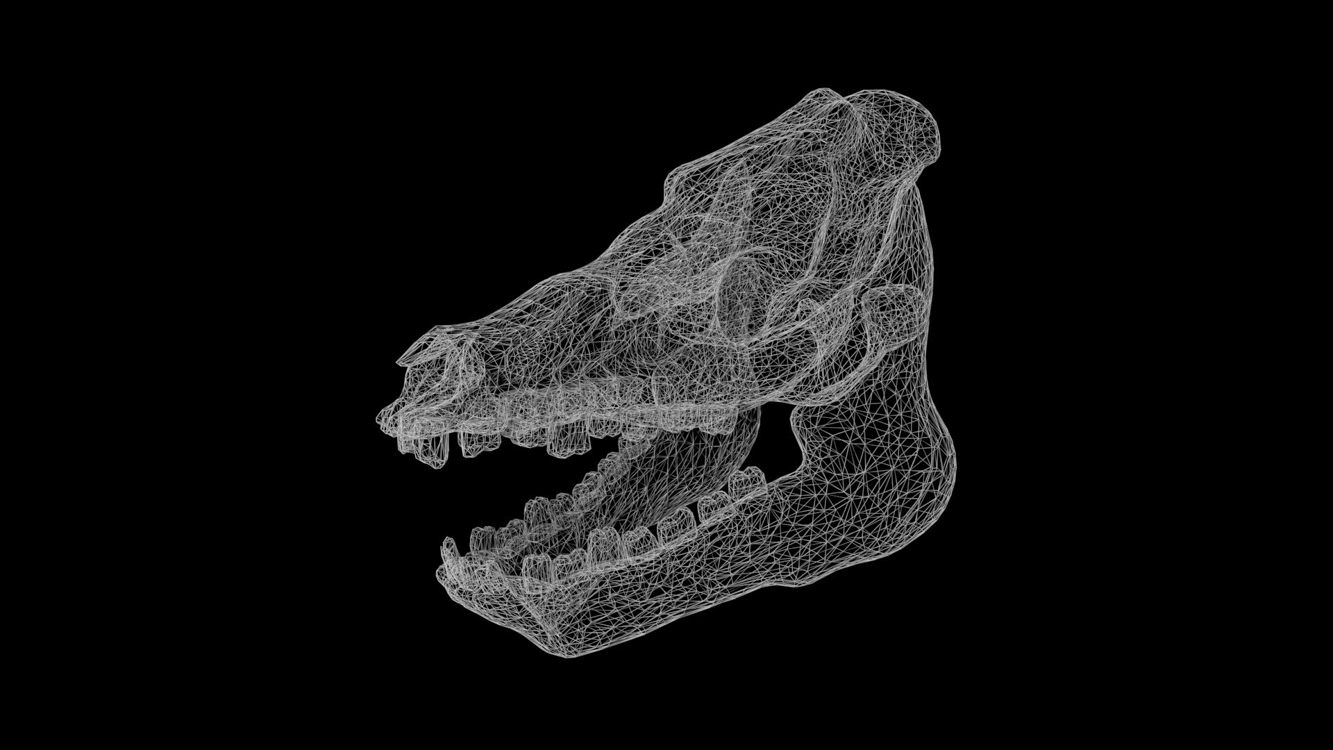 Pig Skull 3D - TurboSquid 1853910
