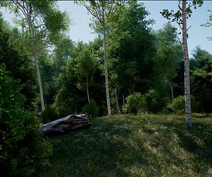 Unreal Engine 5 - Realtime PCGNanite Forest 3D model