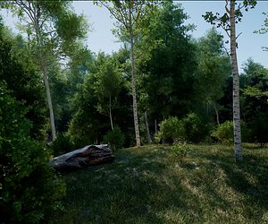 Unreal Engine 5 - Realtime PCGNanite Forest