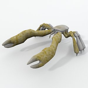yeti crab 3D model