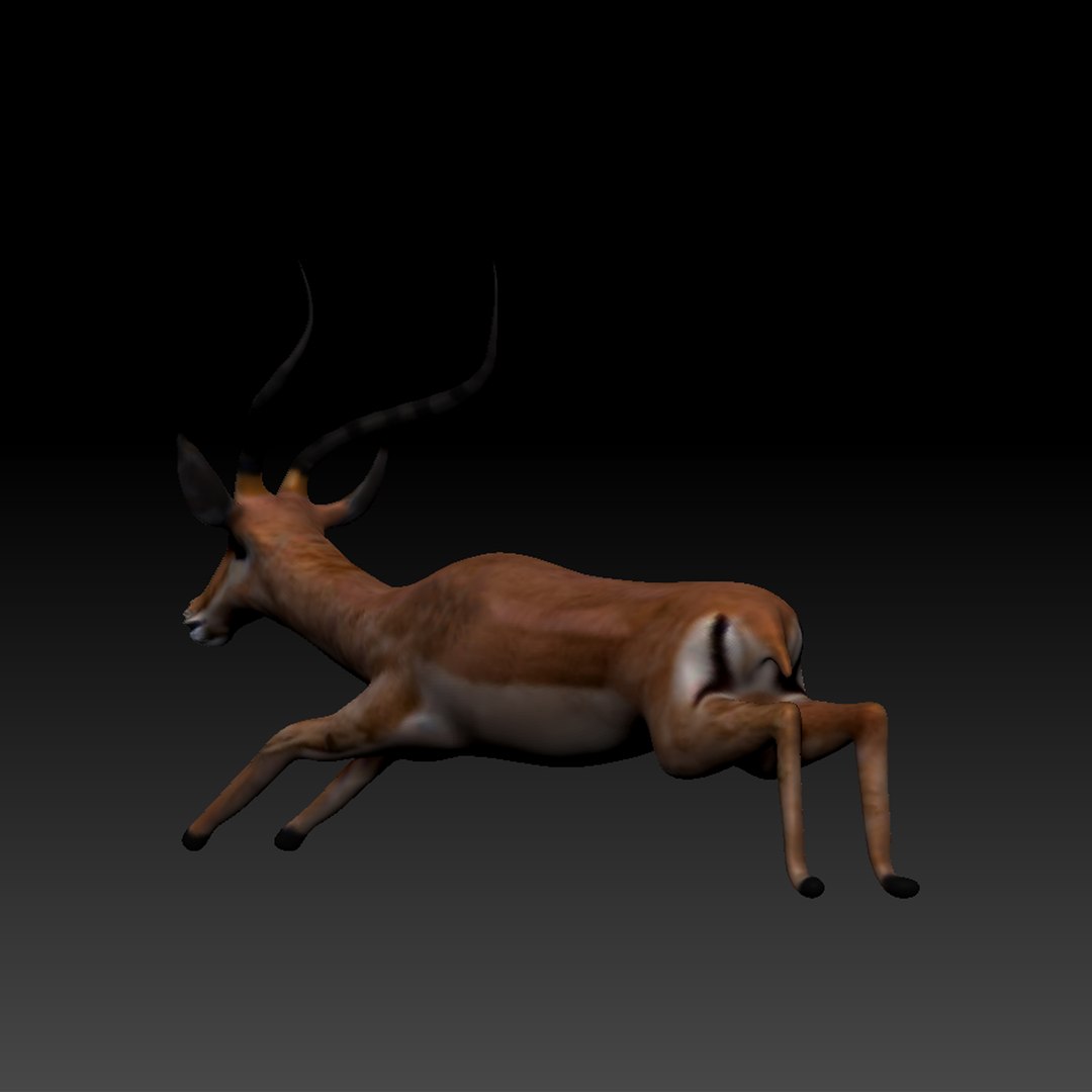 3d obj impala https://p.turbosquid.com/ts-thumb/HY/bX8FeI/CIlv9ysM/impala_thumb_10/jpg/1476721639/1920x1080/fit_q87/8d9e86d6d2c74600b62286d2138d660c4a991b48/impala_thumb_10.jpg