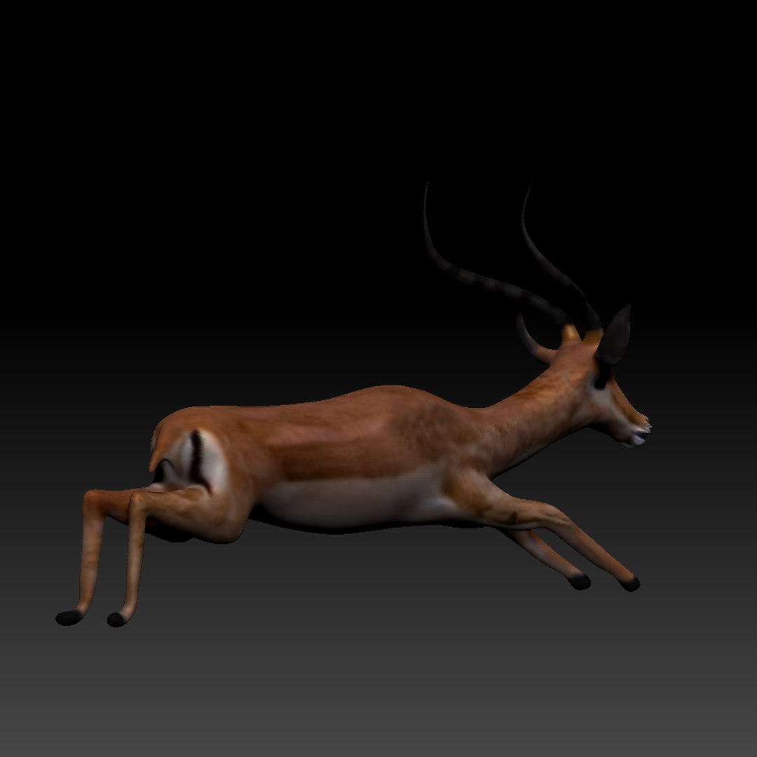 3d obj impala https://p.turbosquid.com/ts-thumb/HY/bX8FeI/P05af7OG/impala_thumb_07/jpg/1476721639/1920x1080/fit_q87/e262a603e00335d501d027b35bc9fa3a3067df0e/impala_thumb_07.jpg