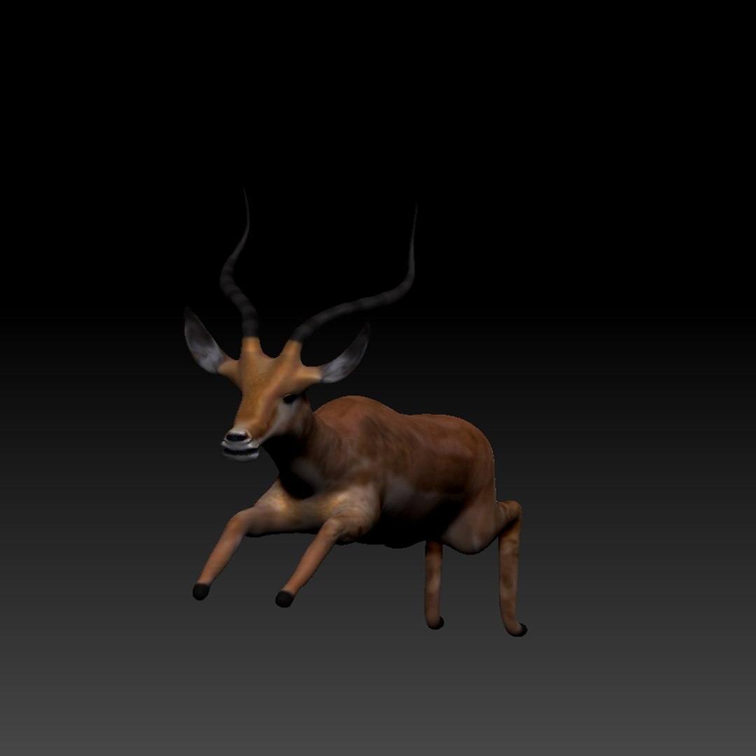 3d obj impala https://p.turbosquid.com/ts-thumb/HY/bX8FeI/YyRla5HV/impala_thumb_02/jpg/1476721639/1920x1080/fit_q87/e4cbb45eed4106b43d3a6d3a2d63da0d4901362e/impala_thumb_02.jpg