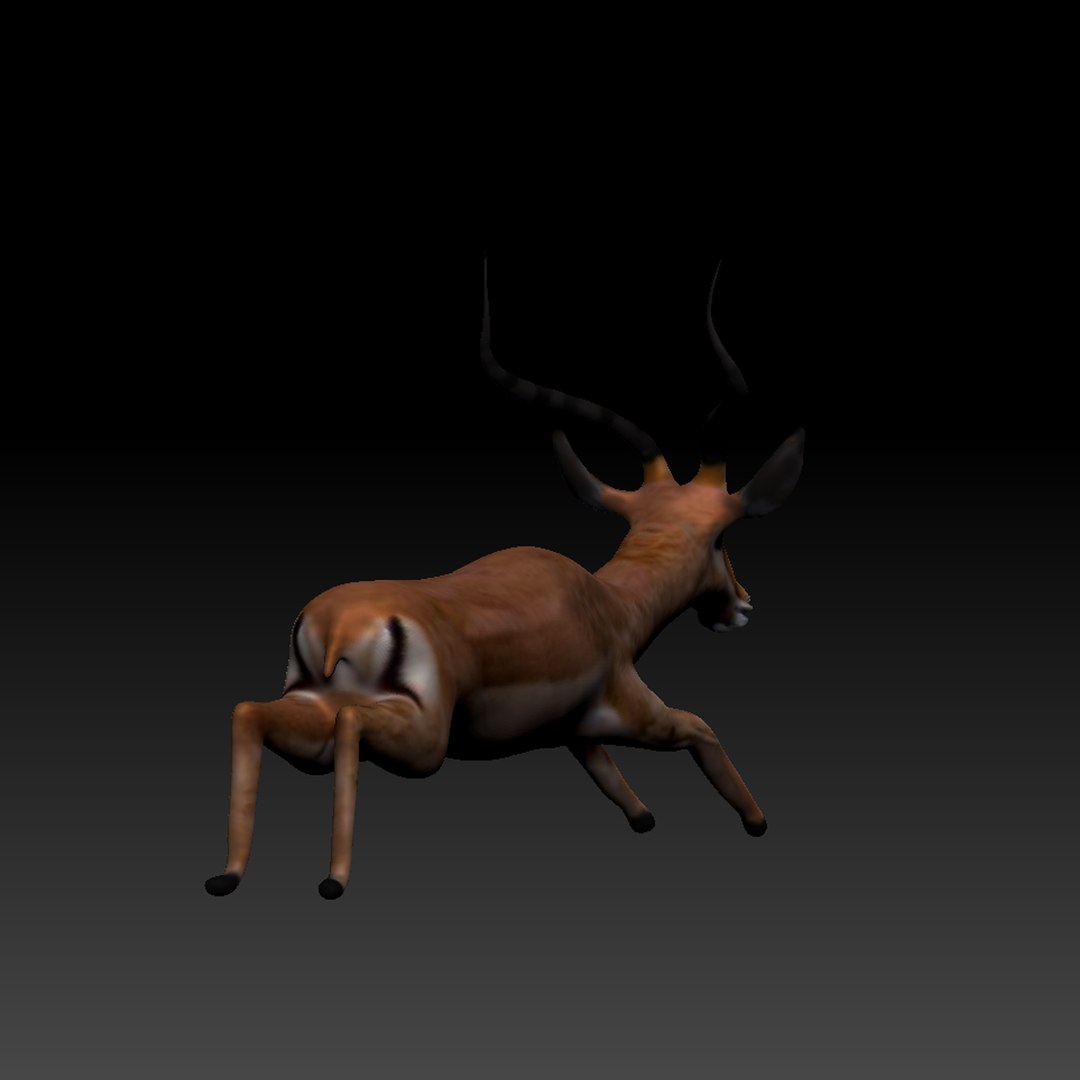 3d obj impala https://p.turbosquid.com/ts-thumb/HY/bX8FeI/aDJEV9XD/impala_thumb_08/jpg/1476721639/1920x1080/fit_q87/b6fd5186ed91377964d08bd4eac9574cc3bdebbf/impala_thumb_08.jpg