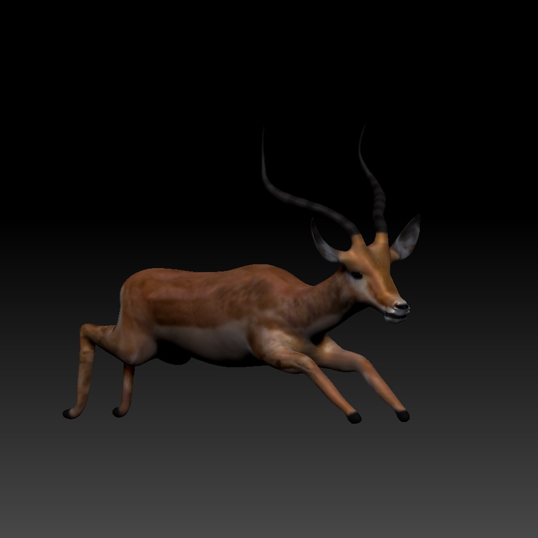 3d obj impala https://p.turbosquid.com/ts-thumb/HY/bX8FeI/ahFR6rXE/impala_thumb_05/jpg/1476721639/1920x1080/fit_q87/bba8d7febb579af95b3fc6325ebcbda4530db867/impala_thumb_05.jpg