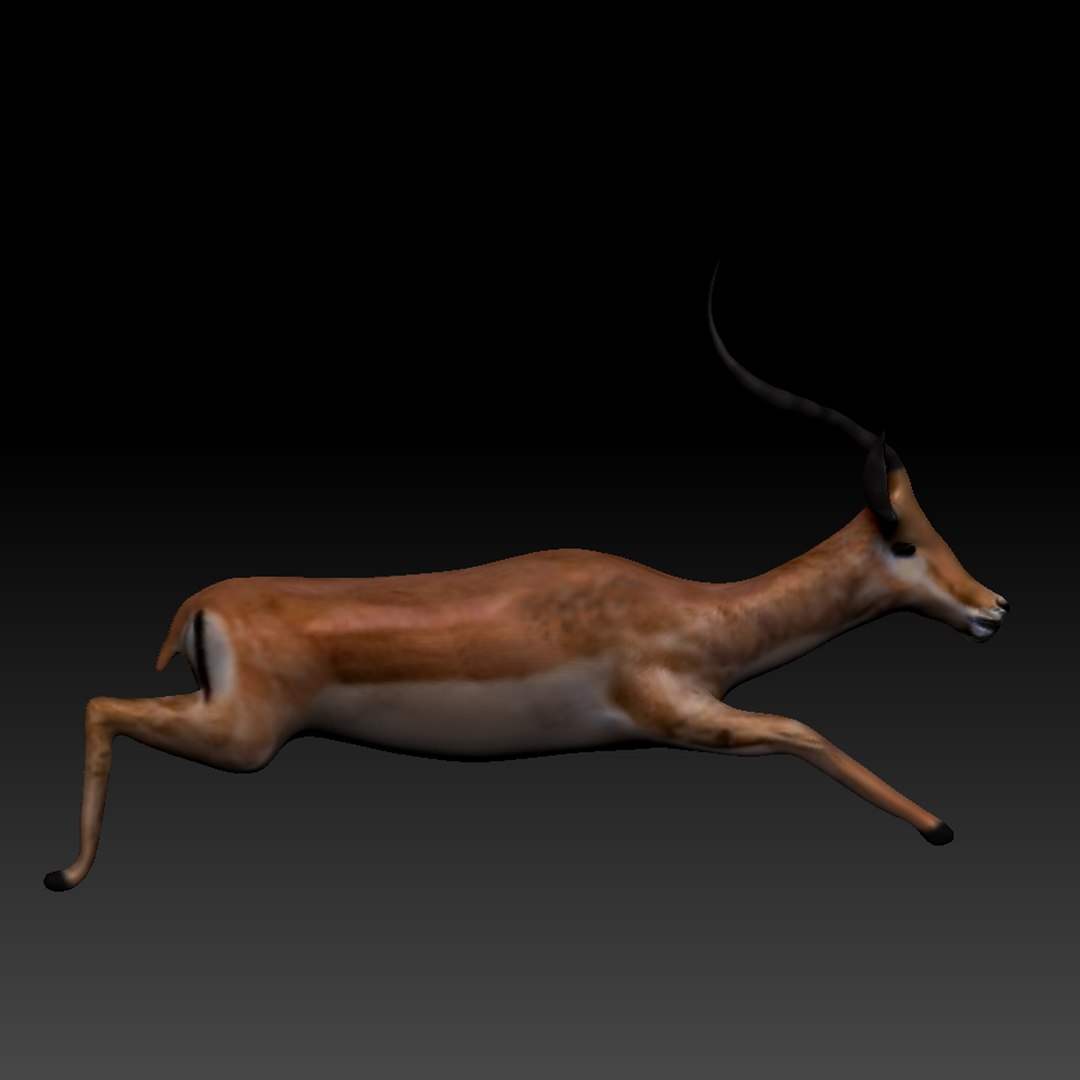 3d obj impala https://p.turbosquid.com/ts-thumb/HY/bX8FeI/bq0aqtFc/impala_thumb_06/jpg/1476721639/1920x1080/fit_q87/5215ab3f4c76413af25979db84007fe2da08dd67/impala_thumb_06.jpg