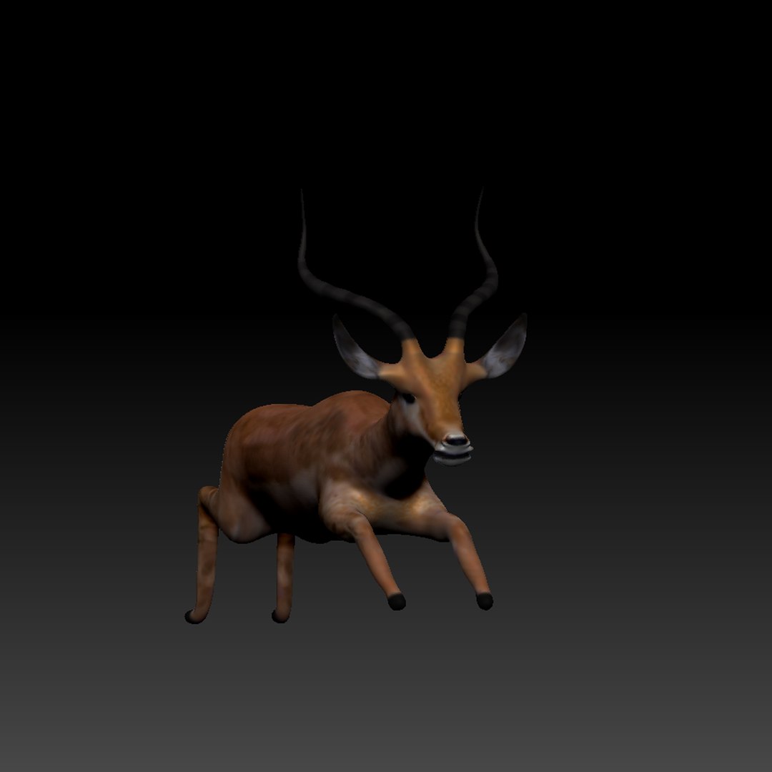 3d obj impala https://p.turbosquid.com/ts-thumb/HY/bX8FeI/rll7b42S/impala_thumb_04/jpg/1476721639/1920x1080/fit_q87/f2fc9b8d98d26972da44bb8451b8890e8b158298/impala_thumb_04.jpg