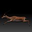 Impala