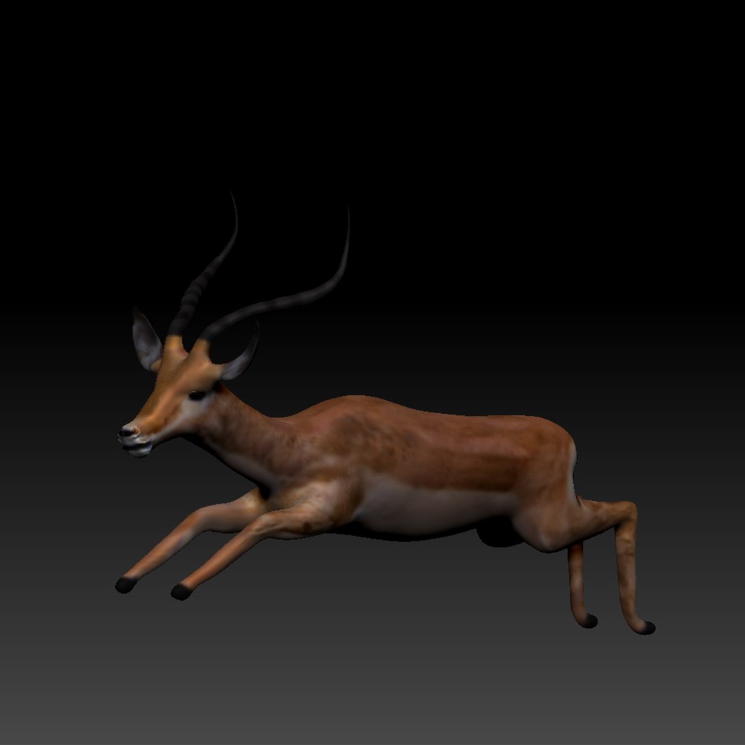 3d obj impala https://p.turbosquid.com/ts-thumb/HY/bX8FeI/y8wYN2sI/impala_thumb_01/jpg/1476721639/1920x1080/fit_q87/3e2e726819dffb25f5ddb2015111f075d5de7808/impala_thumb_01.jpg
